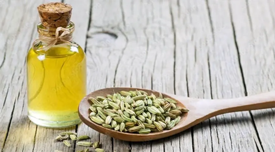 خواص روغن رازیانه برای عملکرد بهتر سیستم گوارش