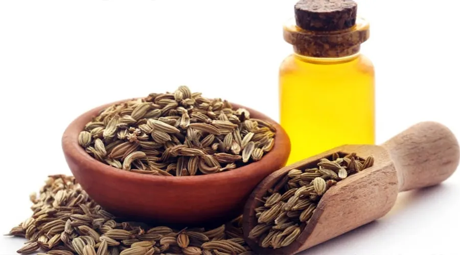 خواص روغن رازیانه در ماساژ و ریلکسیشن