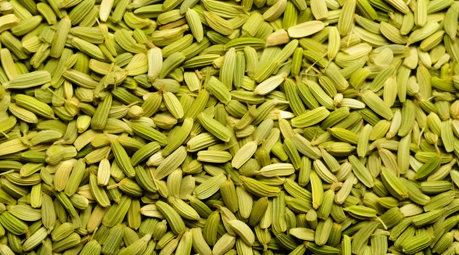 روغن رازیانه اصل برای سلامت پوست و مو