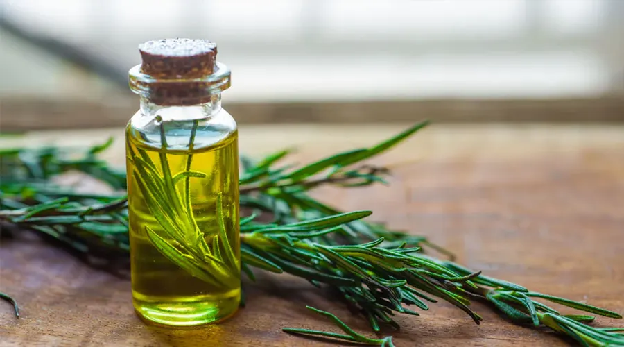 روغن رزماری گیاهی برای موهای آسیب‌دیده