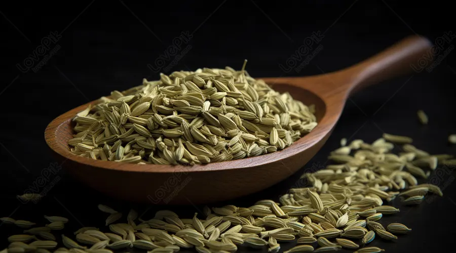 روغن رازیانه برای افزایش شیر مادر