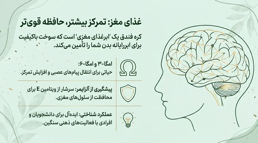 فواید کره فندق برای مغز و عملکرد شناختی