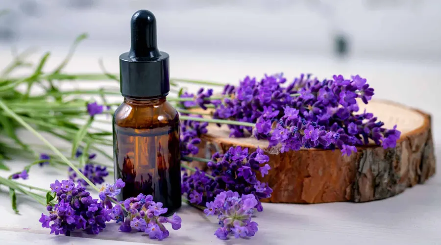 چه روغن های گیاهی برای دفع سموم بدن و پاکسازی آن موثر است