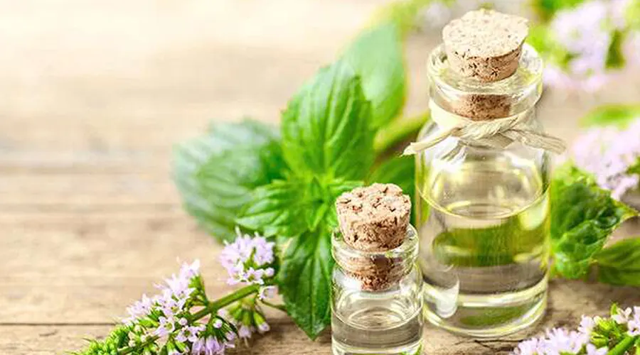 روغن ترکیبی برای دفع سموم بدن و پاکسازی آن
