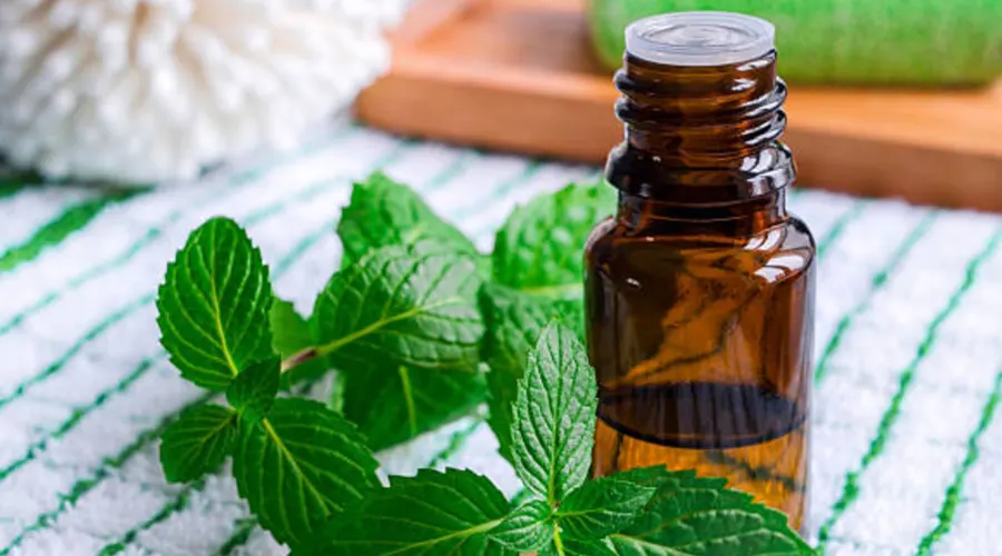 استفاده از روغن نعنا برای پاکسازی بدن