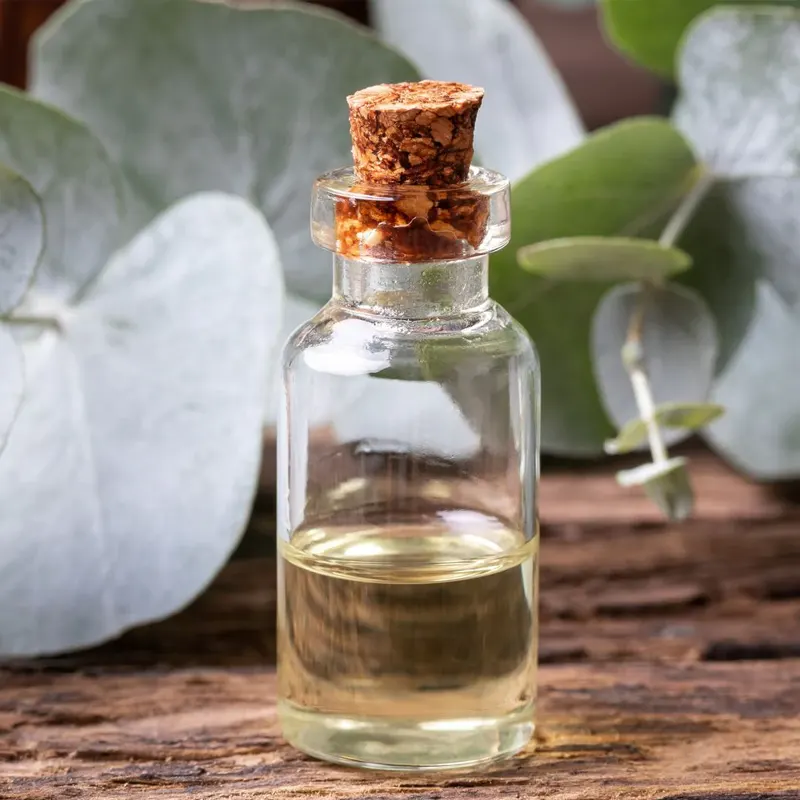 پاکسازی بدن با روغن های گیاهی