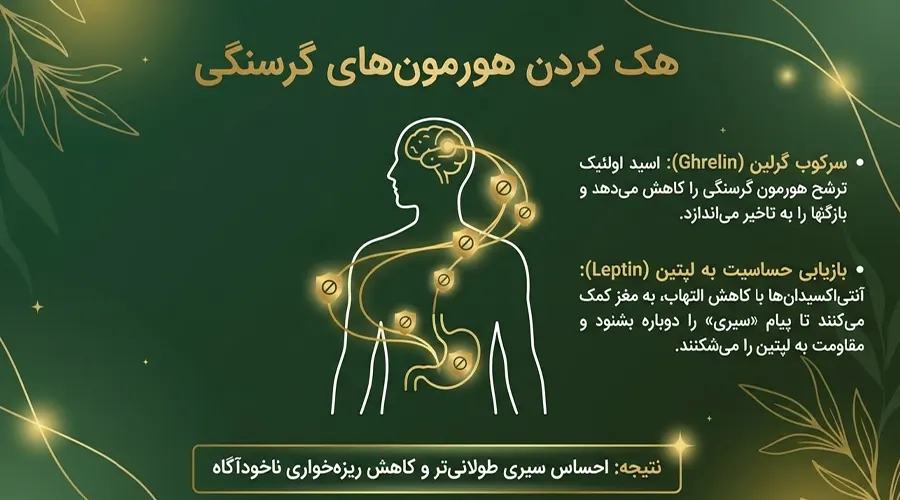 تاثیر روغن آووکادو بر هورمون های سیری