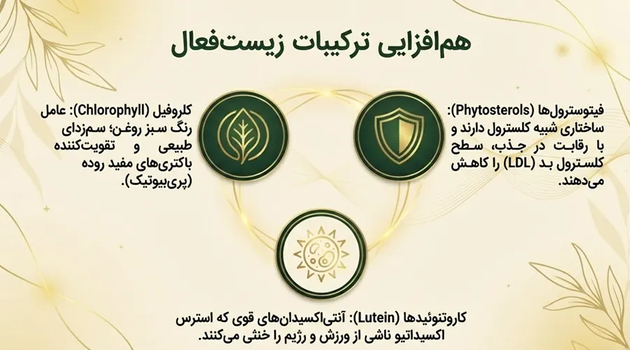 نحوه تاثیرگذاری ترکیبات روغن آووکادو بر کاهش وزن